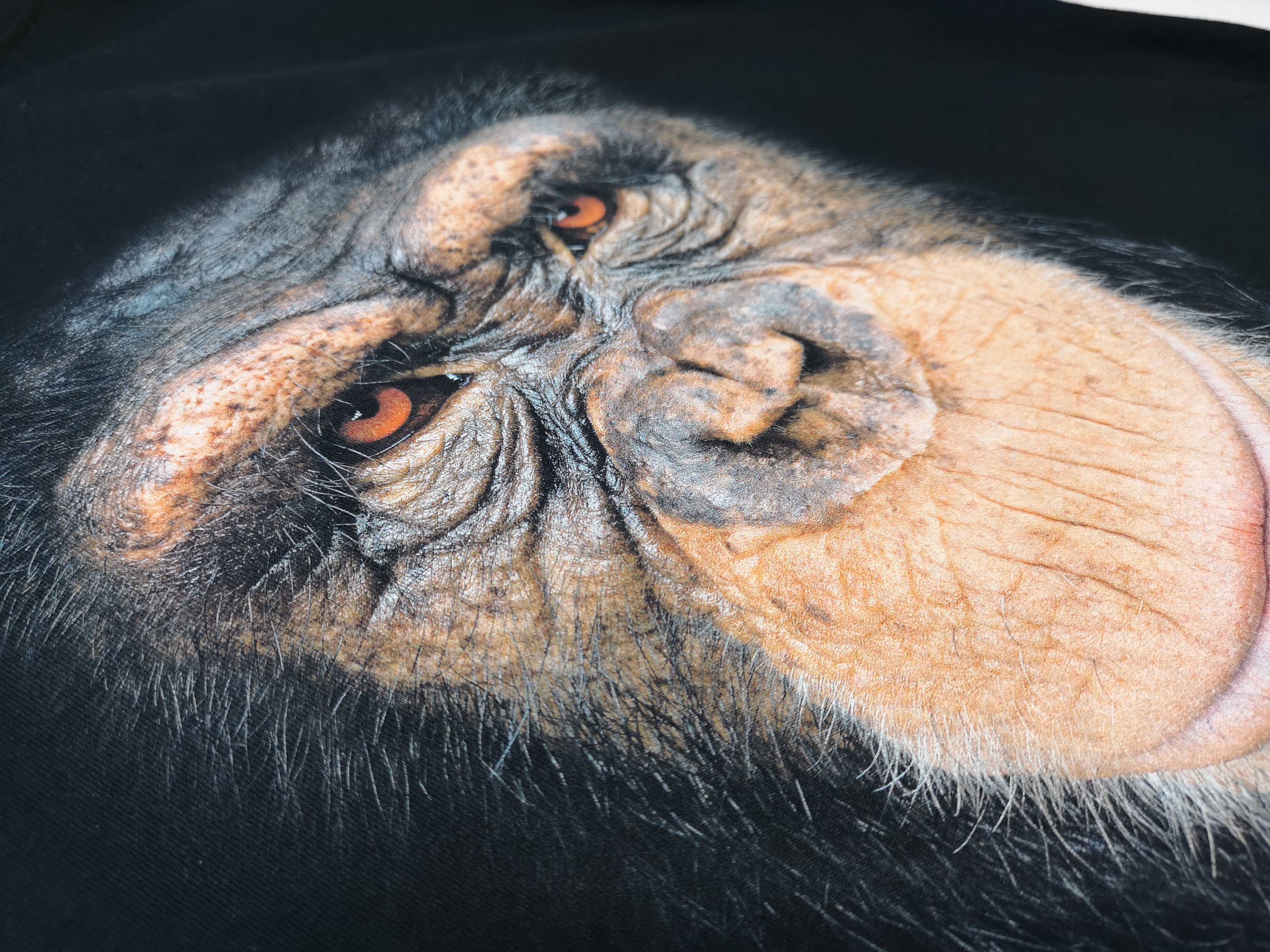 DTG - druk bezpośredni na odzieży